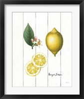 Framed 'Cottage Lemon II' border=