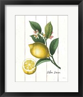 Framed 'Cottage Lemon I' border=