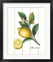 Framed 'Cottage Lemon I' border=