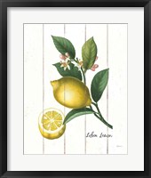 Framed 'Cottage Lemon I' border=