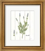 Framed 'Cottage Herbs II' border=