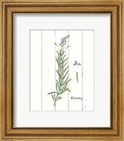 Framed 'Cottage Herbs I' border=