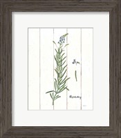 Framed 'Cottage Herbs I' border=