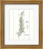 Framed 'Cottage Herbs I' border=