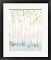 Framed 'Soft Birches III' border=