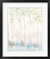 Soft Birches III Framed Print