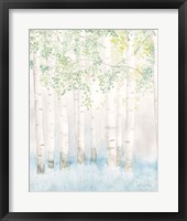 Soft Birches II Framed Print