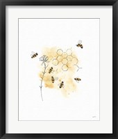 Framed Bees and Botanicals VI