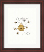 Framed 'Bees and Botanicals II' border=