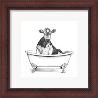 Framed 'Clawfoot Critter II' border=