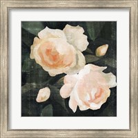 Framed 'Soft Garden Roses I' border=