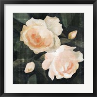 Framed Soft Garden Roses I