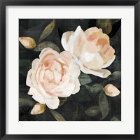 Soft Garden Roses II Framed Print