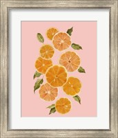 Framed 'Spring Citrus I' border=