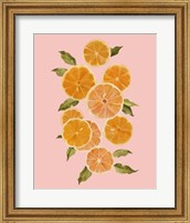 Framed 'Spring Citrus II' border=