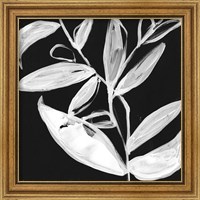 Framed 'Quirky White Leaves I' border=