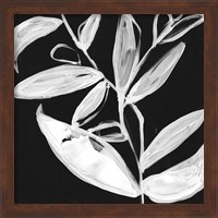 Framed 'Quirky White Leaves I' border=