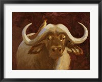 Framed Cape Buffalo I