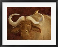 Framed Cape Buffalo II