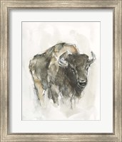 Framed 'American Buffalo I' border=