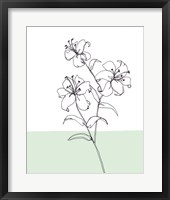 Sweet Stems II Framed Print