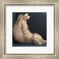 Framed 'Cat Yoga VII' border=