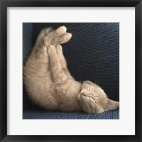 Framed 'Cat Yoga VII' border=
