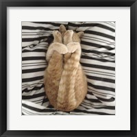 Framed Cat Yoga IX