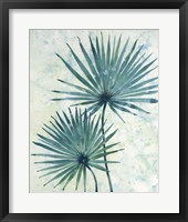 Framed 'Palm Leaves II' border=