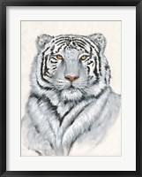 Framed White Tiger I