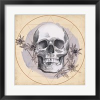 Framed Skull Thistle I