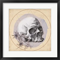 Framed Skull Thistle II