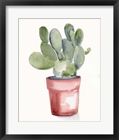 Potted Succulent I Framed Print