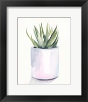 Framed 'Potted Succulent III' border=