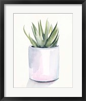 Potted Succulent III Framed Print