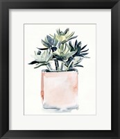 Framed 'Potted Succulent IV' border=