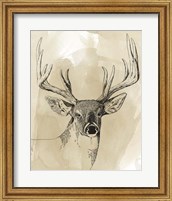 Framed 'Burnished Buck I' border=