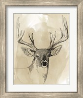 Framed 'Burnished Buck I' border=