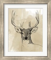 Framed 'Burnished Buck II' border=