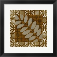 Shades of Brown II Framed Print