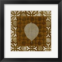 Shades of Brown III Framed Print