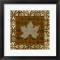 Shades of Brown IV Framed Print