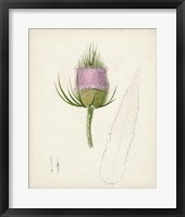 Framed 'Watercolor Botanical Sketches VIII' border=