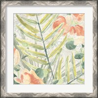 Framed 'Palm Garden III' border=