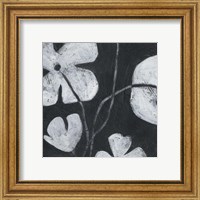 Framed 'Monochrome Meadow II' border=