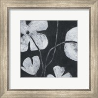 Framed 'Monochrome Meadow II' border=