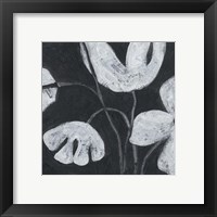 Framed 'Monochrome Meadow III' border=