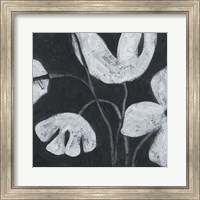 Framed 'Monochrome Meadow III' border=