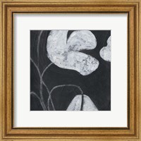 Framed 'Monochrome Meadow IV' border=