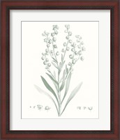 Framed 'Botanical Study in Sage I' border=